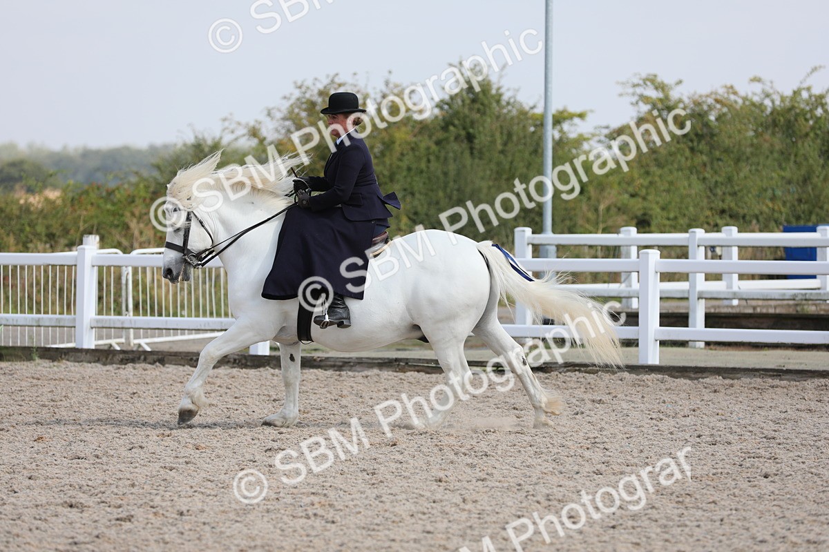SBM_14574 - Class 211 Best Side Saddle Horse/Pony