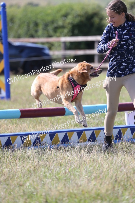 20260906-1617 - Class 10 - Horse & Hound