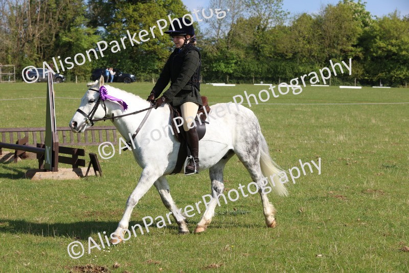 20250427-0610 - Class 17 - Novice Showing