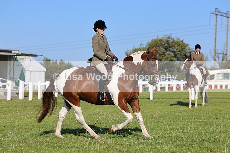 IMG_1263 - Class 27: Ridden Plaited Coloured Horse