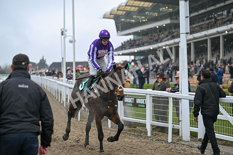 131224-Race 2-Ballymackie-8803 - Race 2