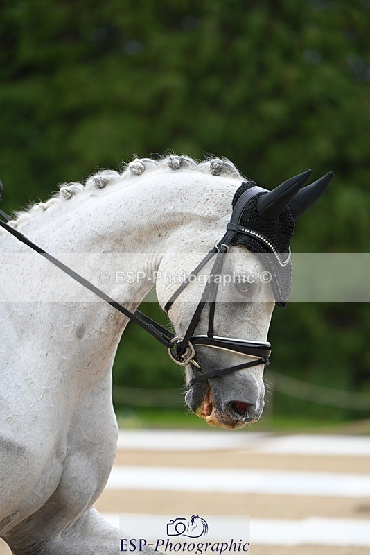 230813-174509-08738 - Cls 14 Medium Silver 16.45 to End