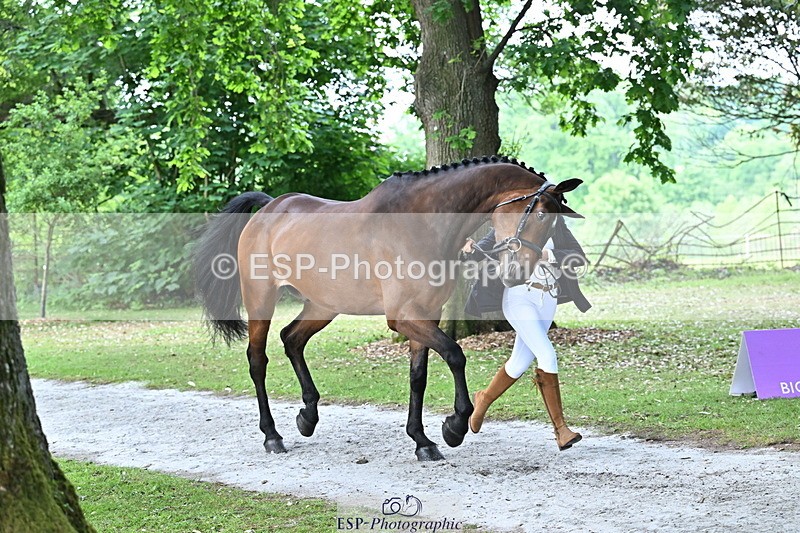 250521A-170254-01488 - C-281-Holly.Morris-NADIR.DE.LEAU