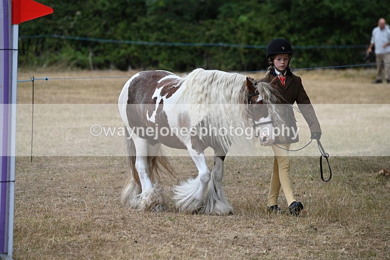 WJ6_7893 - Class 10 Coloured in Hand