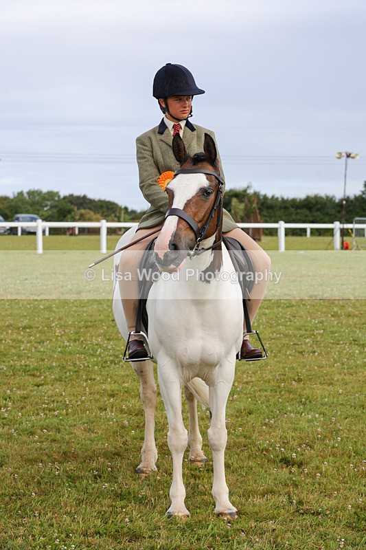 1X9A3085 - Class 26: Ridden Plaited Coloured Pony