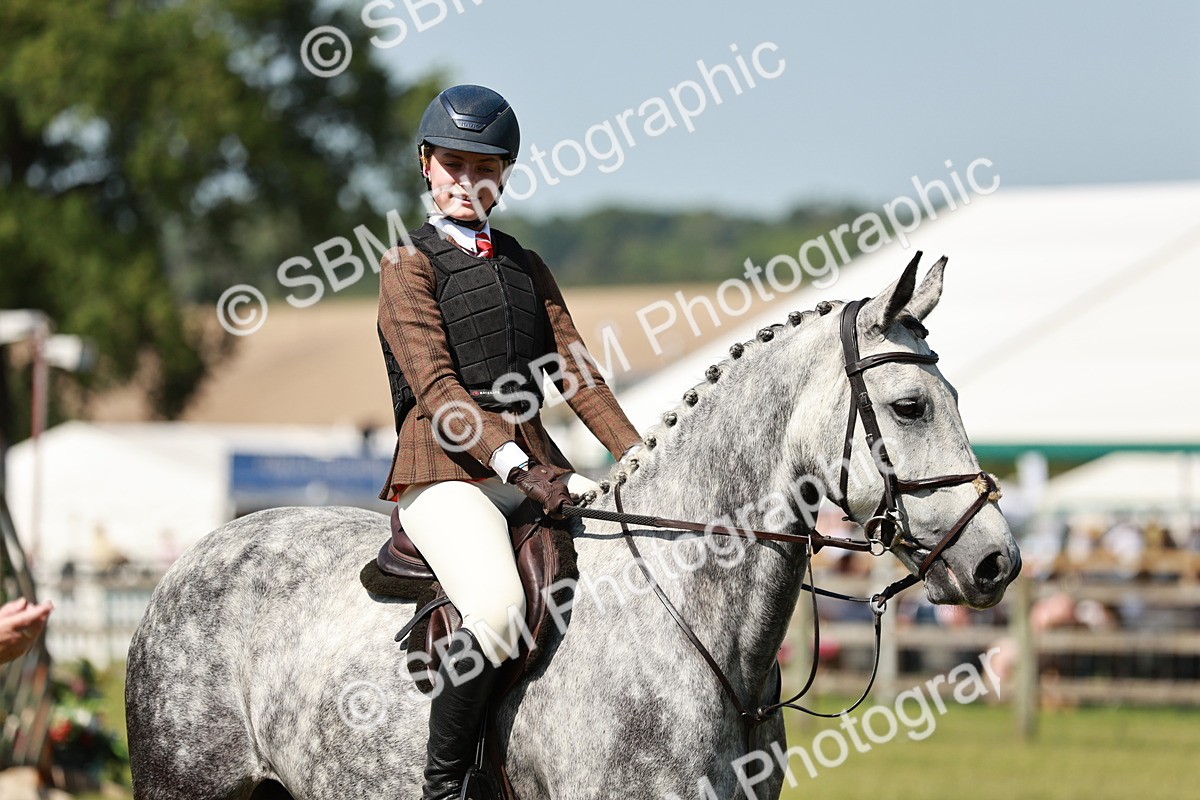 SBM_18363 - Class 112-113 - BSPS LIHS Working Sports Pony