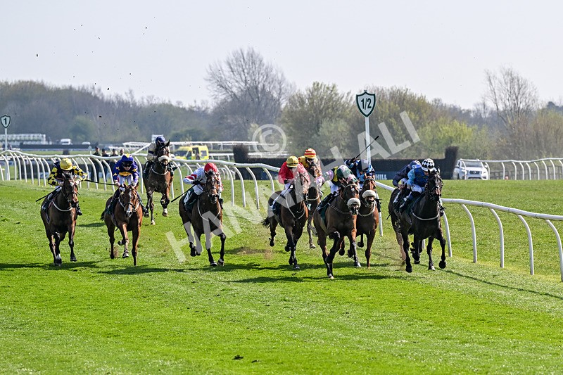 080426-Race 2-Empress Olivia-9993 - Race 2