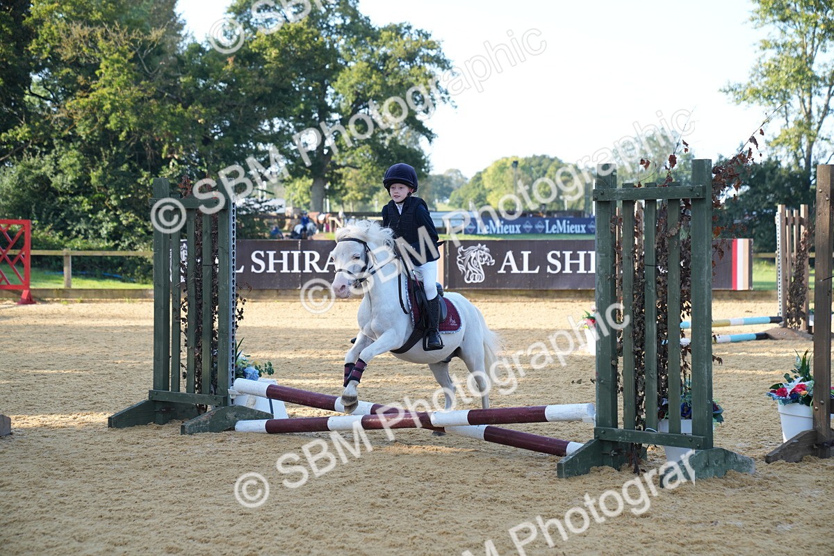 SBM_59058 - J63 - Minis Clear Round 30cm 40cm