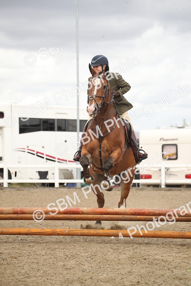 SBM_16605 - Class 507a - Working Veteran - 60cm (15-19)