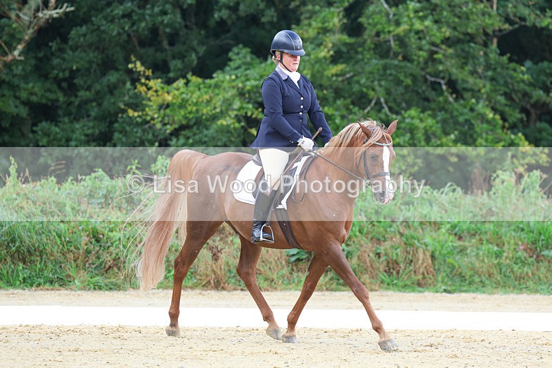 3E7A1930 - Class 1: Intro 4 2024 section A