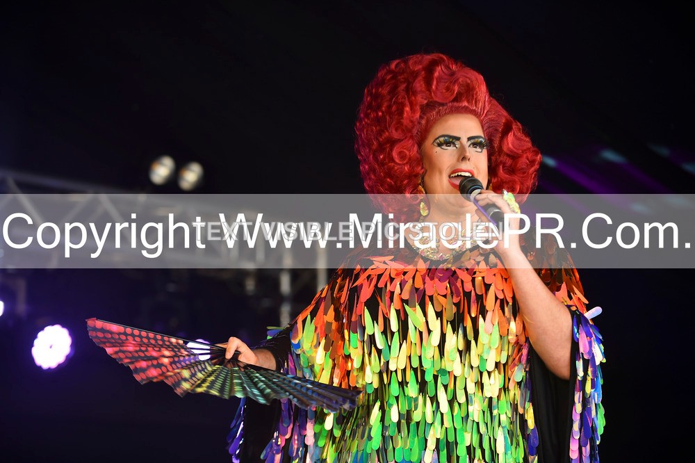 SH4_4141 - Ruby Slippers