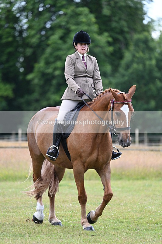 WJ7_9082 - Class 8 Ridden Veterans