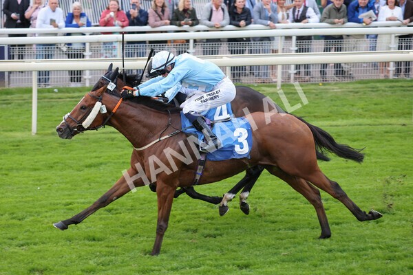 yr24092021r8-19 - Race 8 5.25pm William Hill Build Your Own Odds Apprentice Stakes