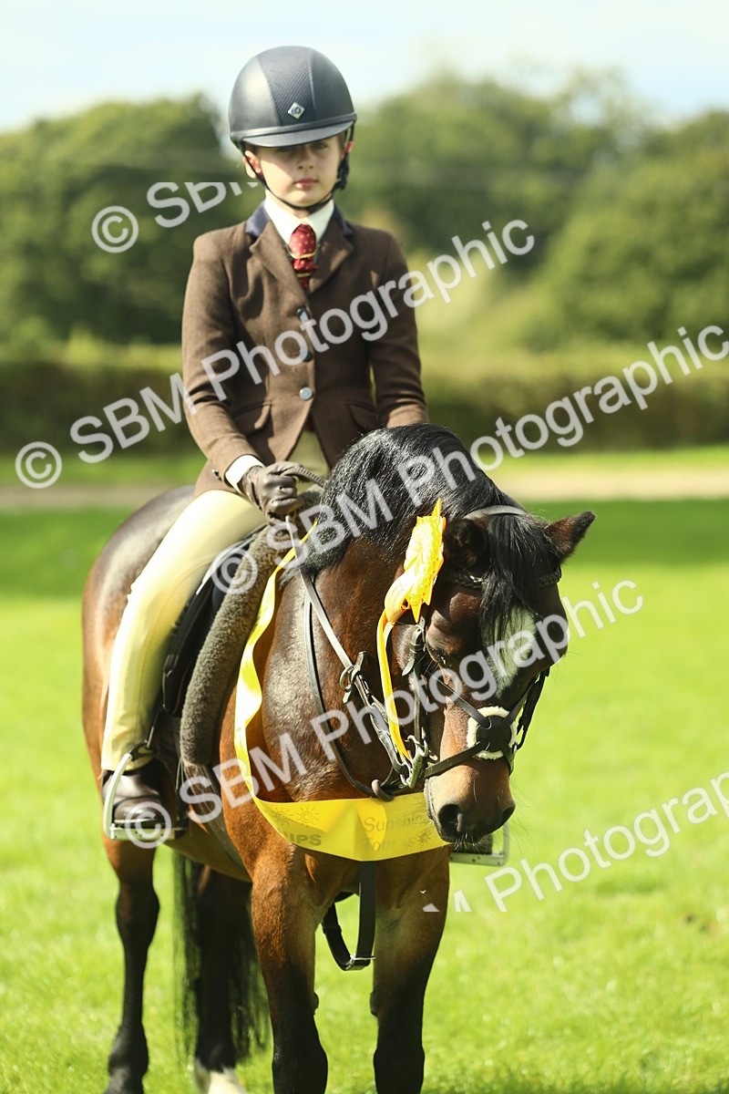 SBM_44977 - Working Hunter Pony Supreme Championship