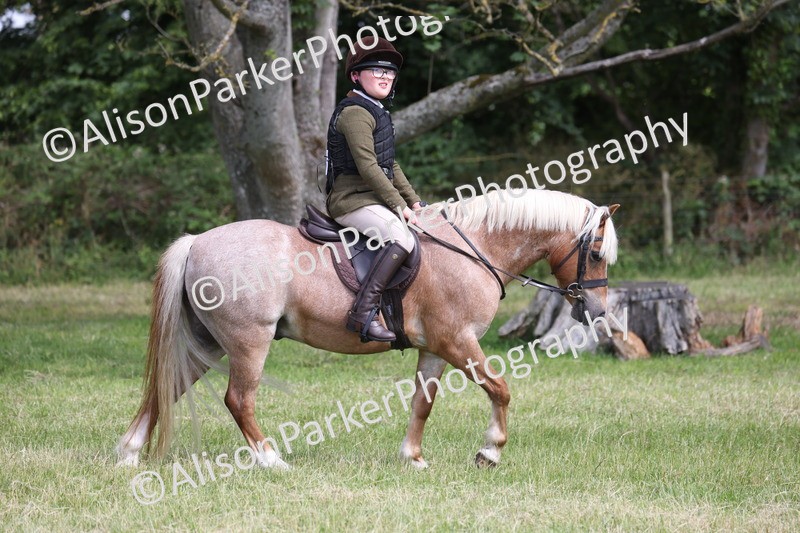 20260614-0811 - Class 20 - Beginners Working Hunter Pony