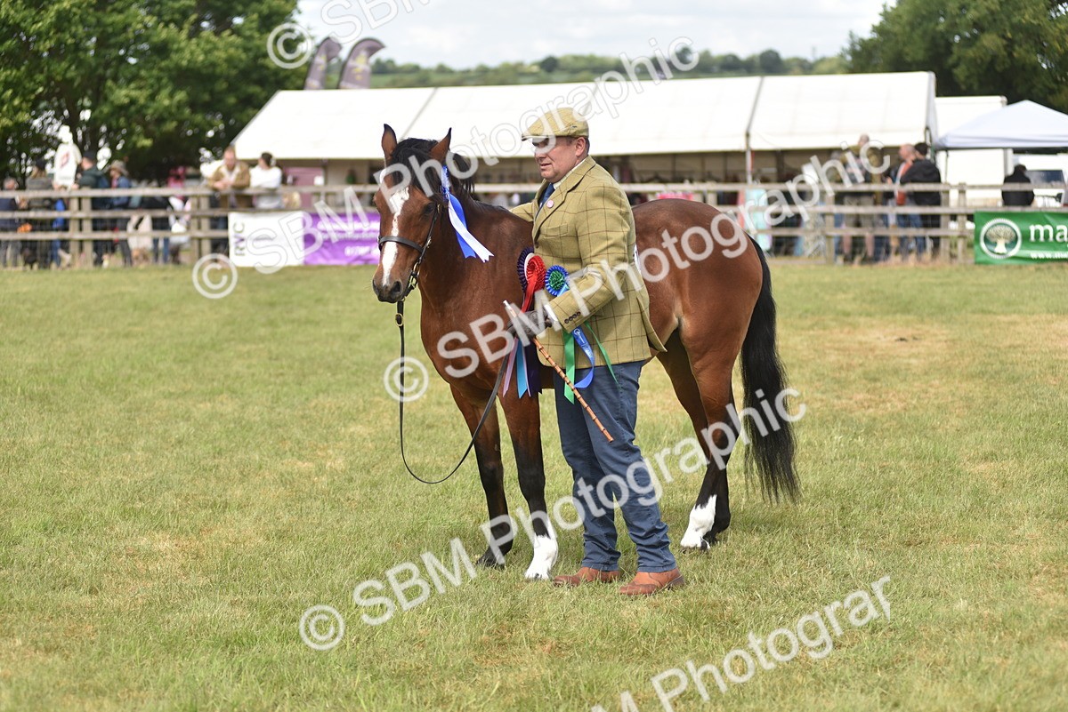 SBM_16128 - Class 117-122 - SSADL RIHS Qualifier