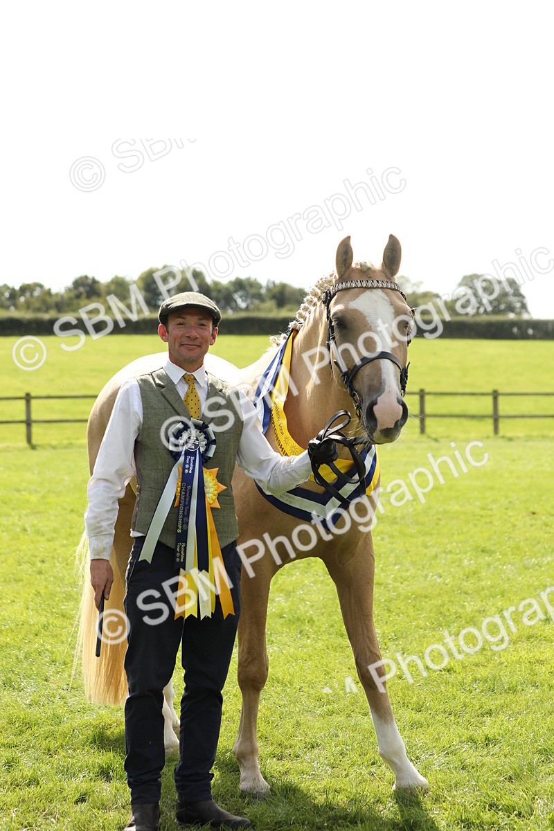 SBM_66342 - In Hand Pony & Youngstock Supreme Championship