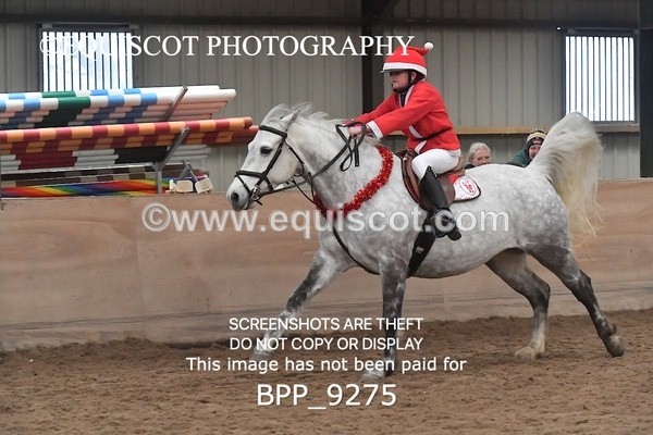 BPP_9275 - CLASS 5 60CM Progressive Show Jumping