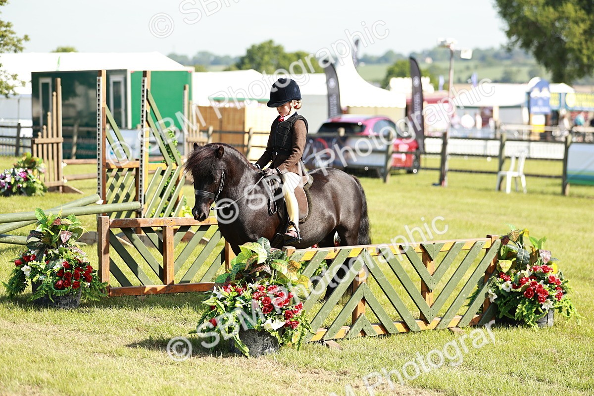SBM_12596 - Class 106-107 - BSPS LIHS Working Sports Pony