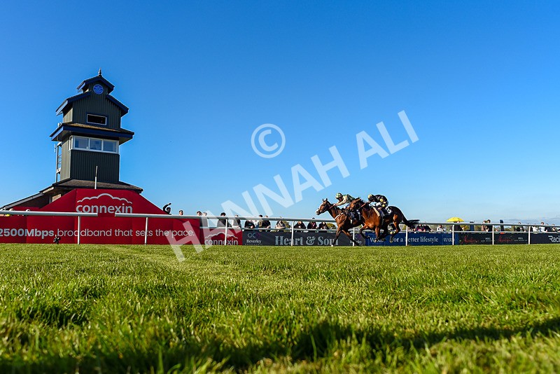 230426-Race 8-Barbury Boy-1351 - Race 8