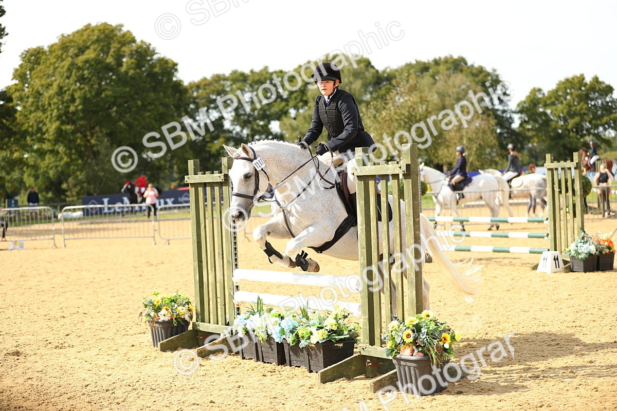 SBM_67340 - J17 - Junior Pony 80cm Championship