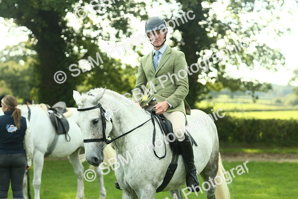 SBM_52111 - S33 - Working Hunter & Working Show Horse
