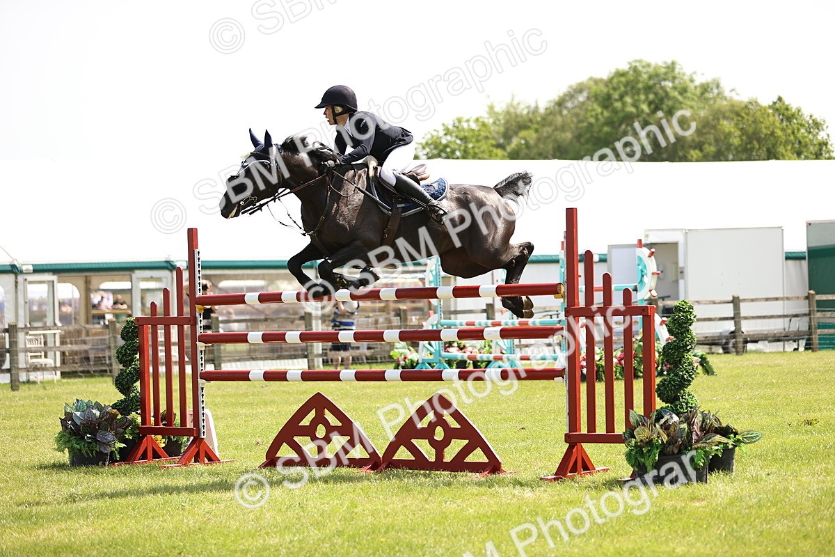 SBM_03969 - Class 201 - British Horse Feedds Speedi Beet HOYS Grade C