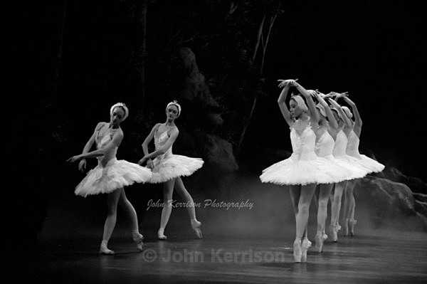  - Swan Lake