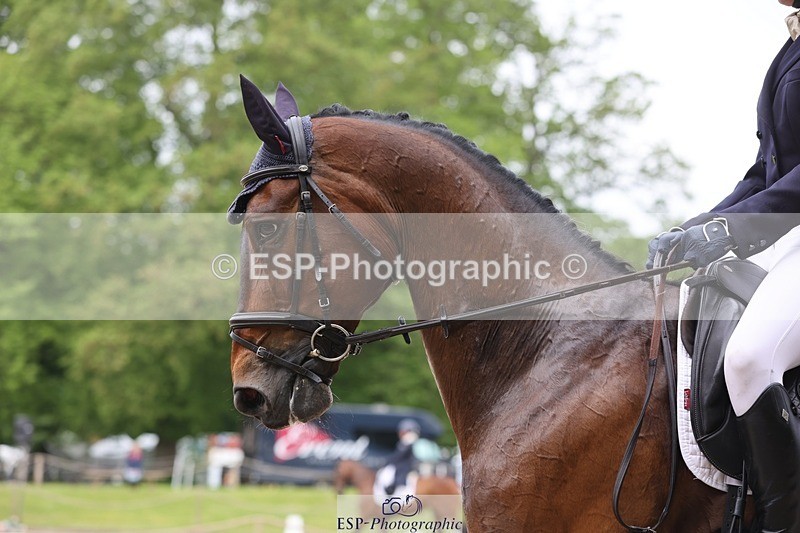 240523-101742-03272 - 211-THE_CLASSIC_COMPOSER-Rosie_Ringer