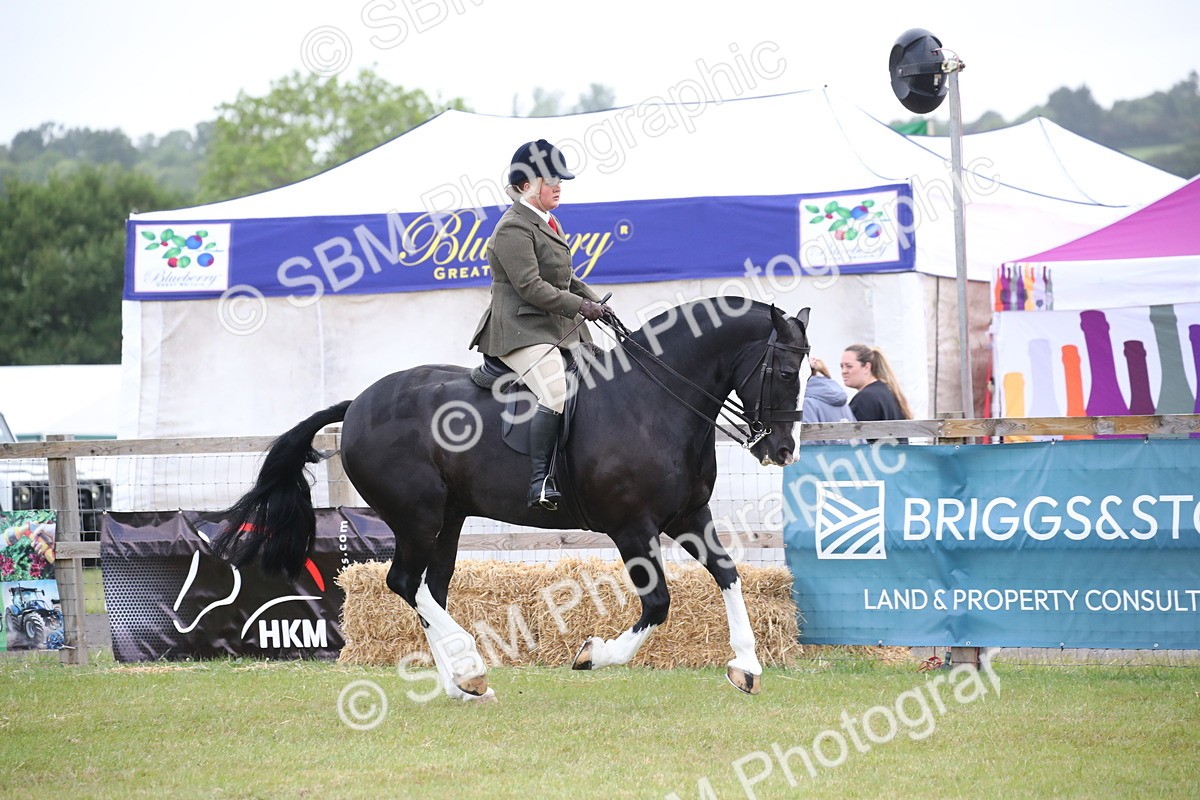 SBM_11058 - Class 92-93 - LIHS BSHA Rising Star Cobs