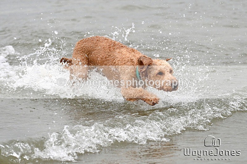 WJ7_9968 - Hayling Island Beach Shoot 22-09-24