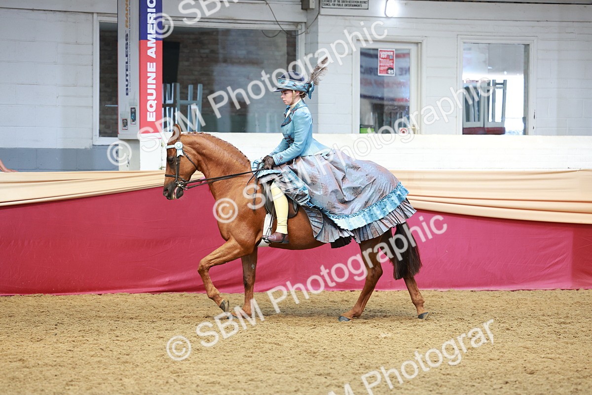 SBM_13757 - Class 106 - Ridden Costume -Astride Adult (15-19)