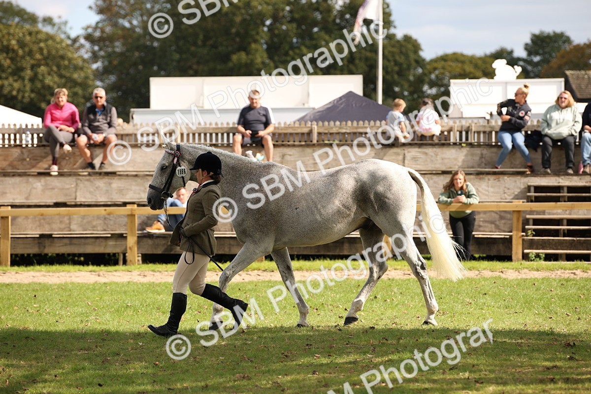 SBM_44497 - S24 - Young Veteran in hand