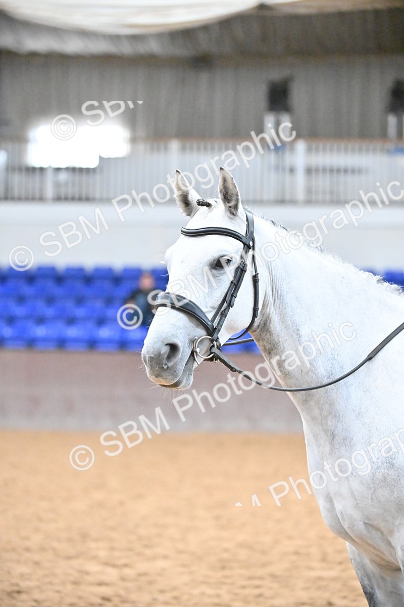SBM_002656 - Class 28,29 - Ridden Irish & Coloured