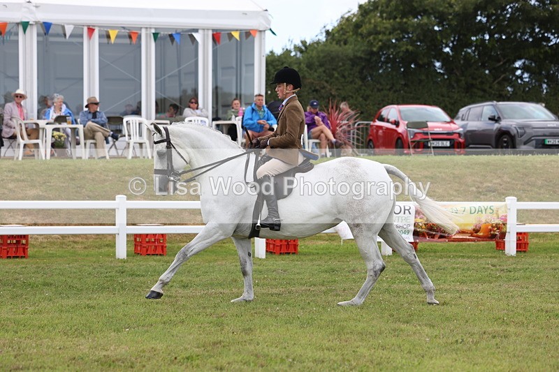 3E7A1454 - Class 9: Open Hunter