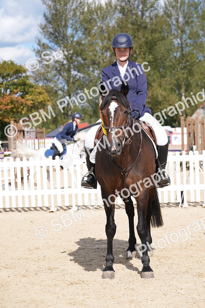 SBM_38916 - J21 - Junior Horse 60cm Championship