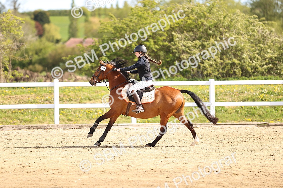 SBM_000343 - 60cm
