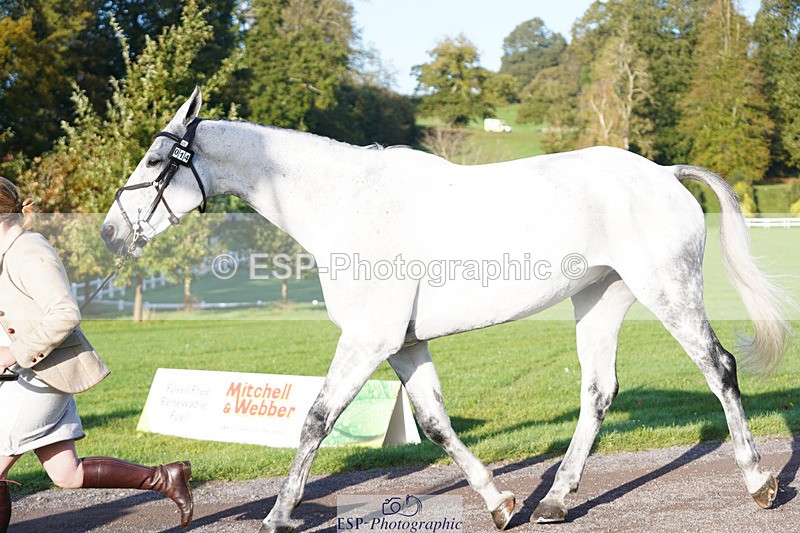 241026-095920-11529 - 014-Lizzie.Luxton-ST.TROPEZ