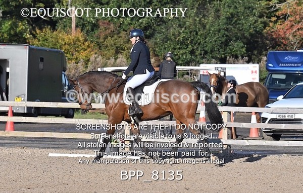 BPP_8135 - LONG ARENA