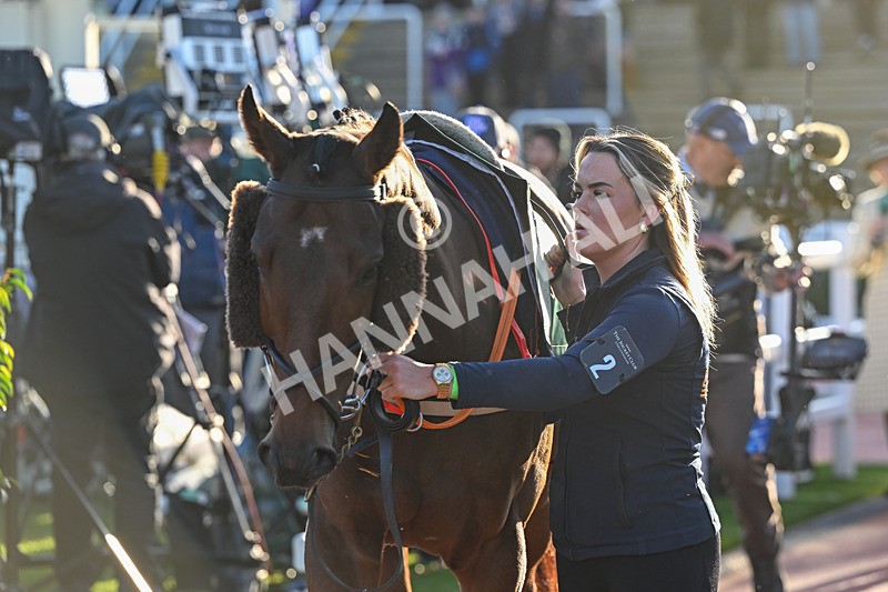 251025-Race 6-Anyway-9716 - Race 6