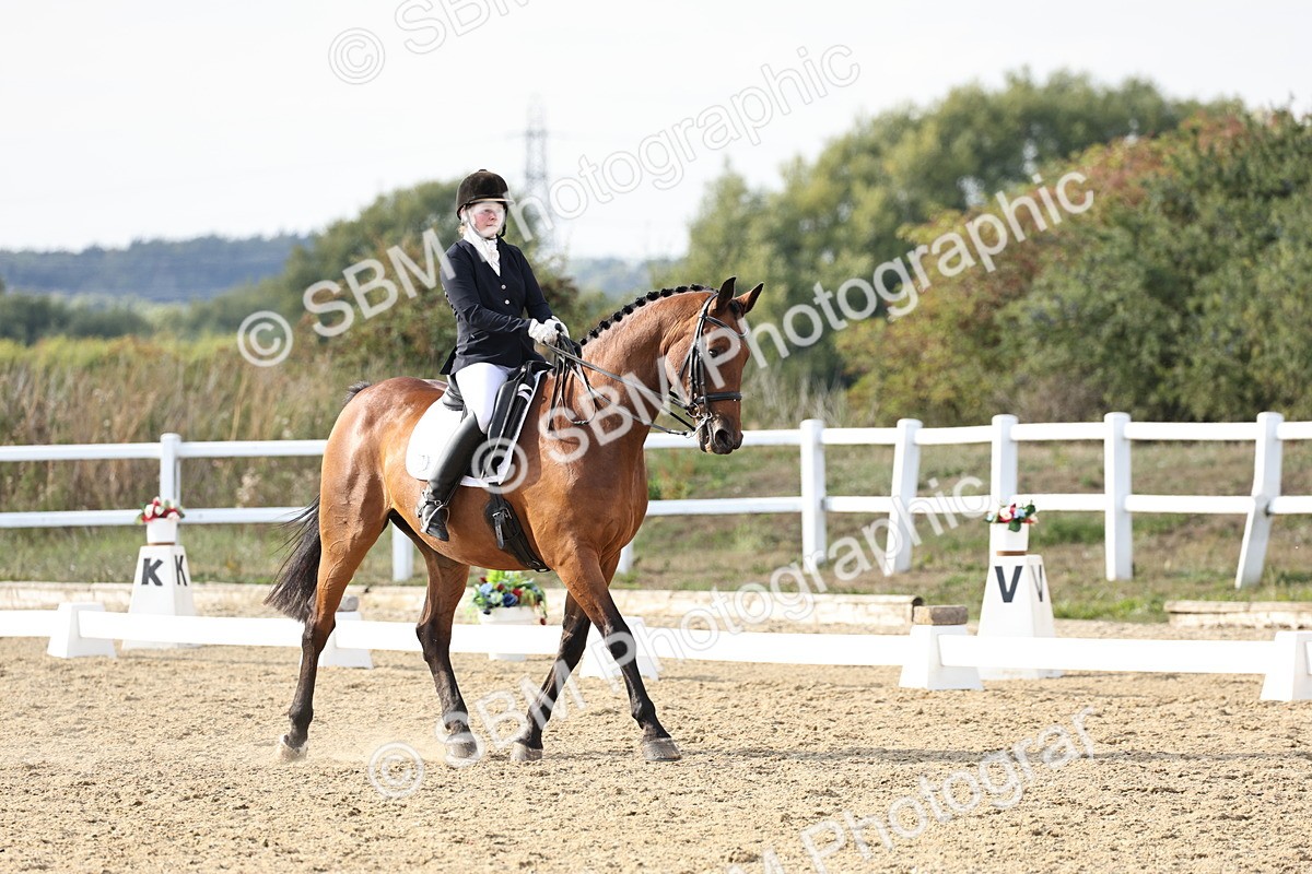 SBM_015435 - Class 9 - Advanced medium 3