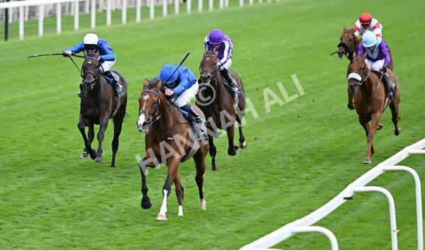 200825-142 Ombudsman - Race 4 3.35pm Juddmonte International Stakes
