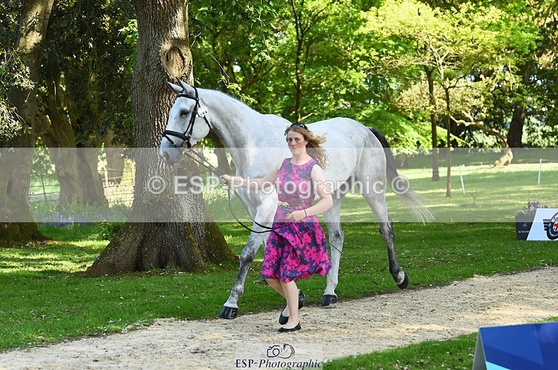 230524-162618-00868 - 102-BANDITO_VAN_POLDERZICHT-Grace_Taylor-WEDTrotUp+DR