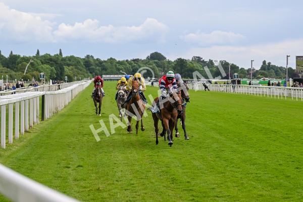 140624-Race 4-Havana Gila-4480 - Race 4 3.35pm Seat Unique Ganton Stakes