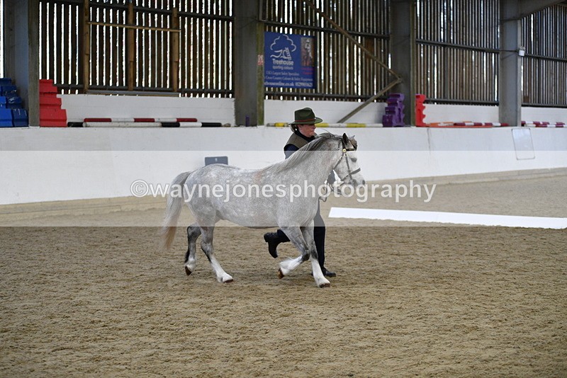 WJ5_5418 - Class 4 In hand M&M - small breeds