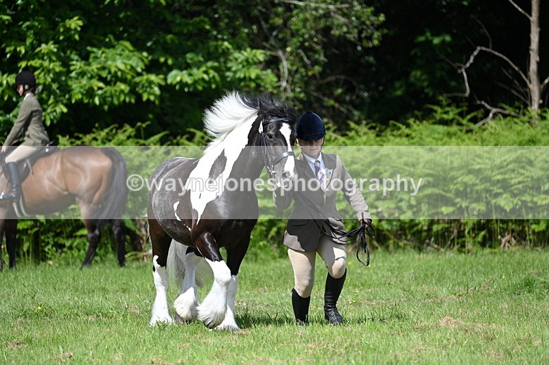 WJ7_1171 - Class 11 Condition & Turnout