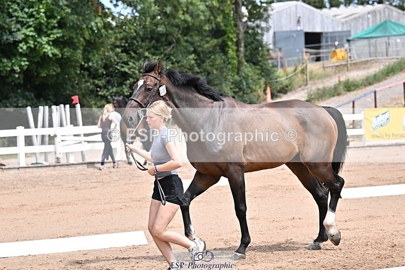 250716-125711-00248 - Trot Up 12.30 to 1.30