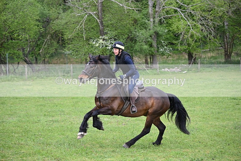 WJ6_2699 - A camera