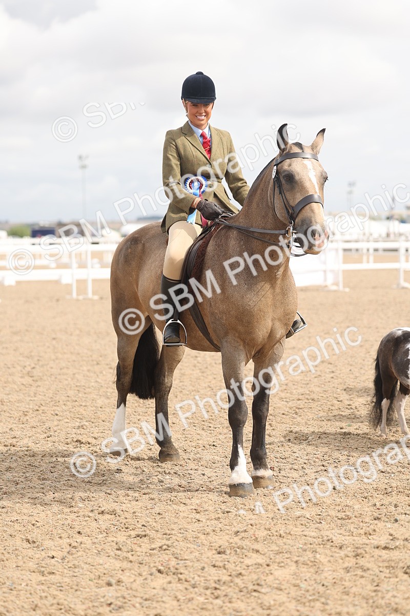 SBM_04577 - Class 19 - Horse/Pony Judge would most like to take home