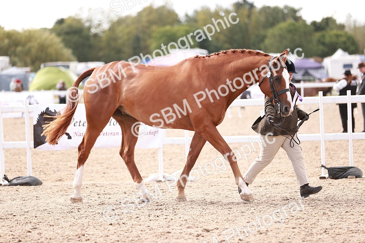 SBM_13386 - class 406 - IH Hunter